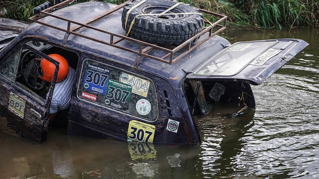 与心灵的双 与心灵的双