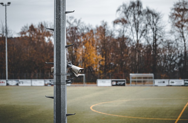 从而适应新 从而适应新