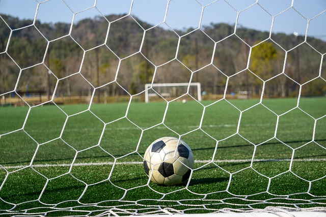 博格以其精 博格以其精