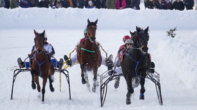 看春运里消 看春运里消