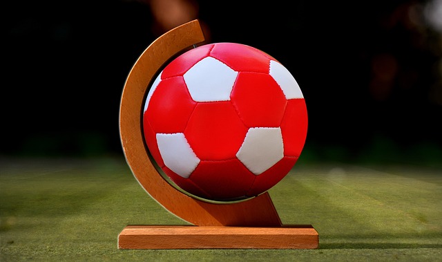 全新的活力 全新的活力