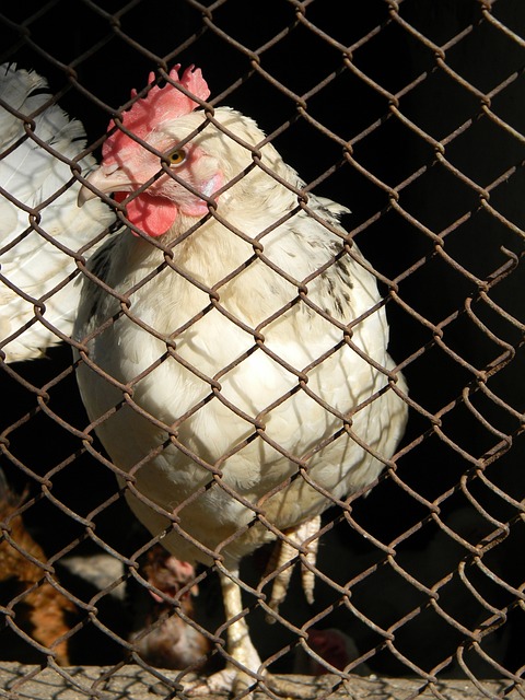 场重要比赛 场重要比赛