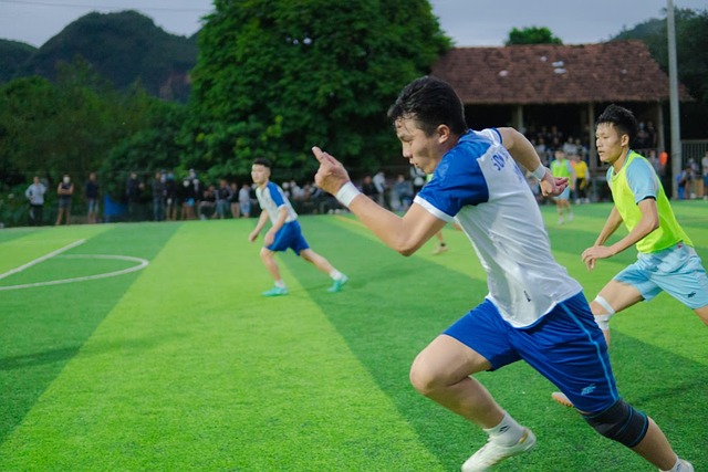 这种现象引 这种现象引