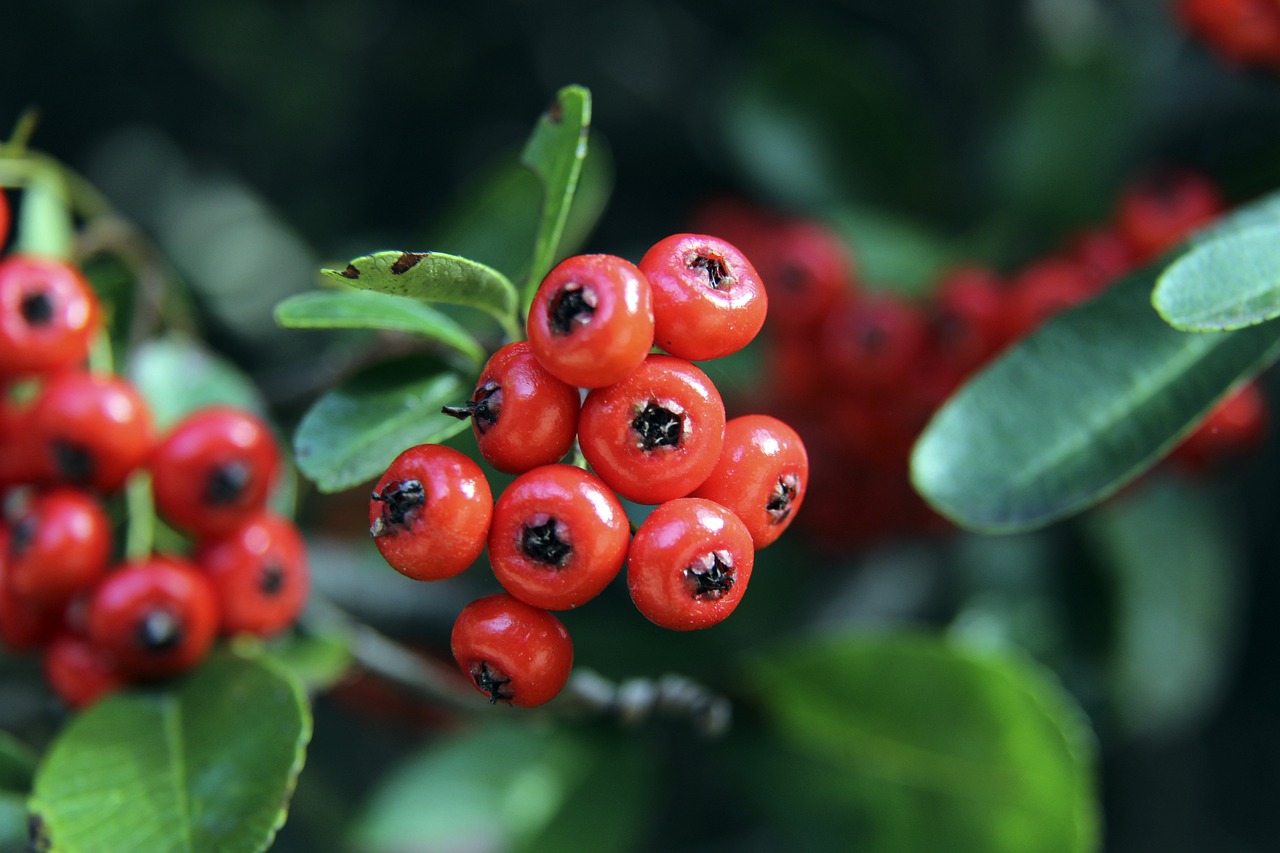 定缴纳相应 定缴纳相应