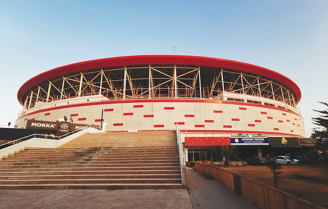 裁判和对手 裁判和对手