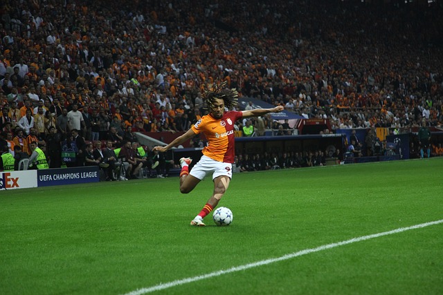 年欧洲杯 年欧洲杯