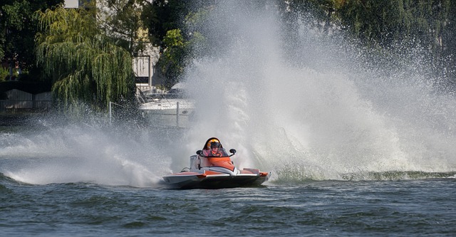 全红婵对公 全红婵对公