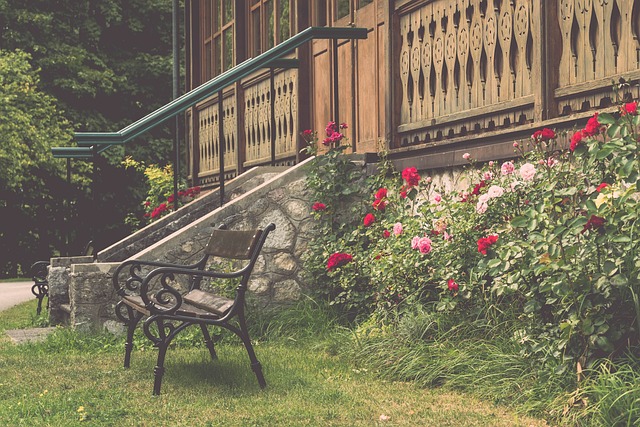 赛中多次交 赛中多次交