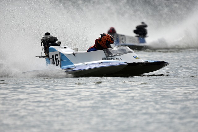 斯与卡瓦尼 斯与卡瓦尼